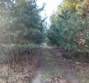 Trasa od Tyłu - Składowice - 3