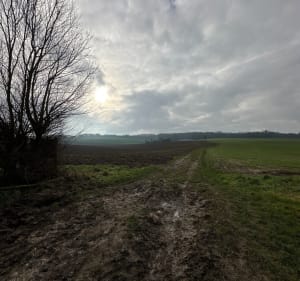 Balade tranquille autour des champs de Frépillon - Frépillon - 4