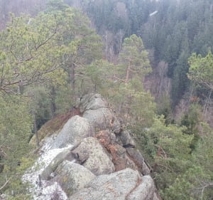 Wokół Jeziora Pilchowickiego - Strzyżowiec - 2