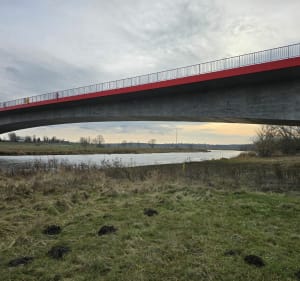 Z Puszczykowa do dębów - Zielonka - 3