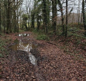 Le Gripail, carrière de la Garenne Guipel Vignoc. - Vignoc - 4
