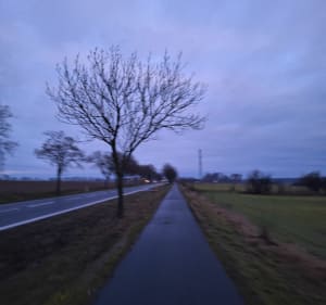Pamiątkowo-Kąsinowo-Baborówko Pętla - Piotr - 4