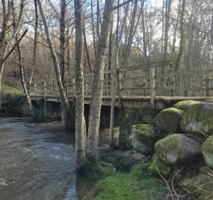 Creuse Nature par le viaduc de Sibilot. - Lafat - 3