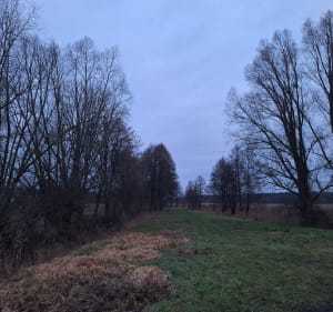 Pamiątkowo-Kąsinowo-Baborówko Pętla - Piotr - 5
