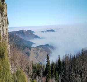 De Saint-Pierre de Bœuf au Crêt de L'Oellion et boucle - Saint-Pierre-de-Bœuf - 4