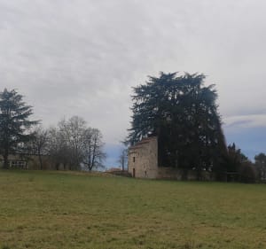 Balade tranquille autour de l'aérodrome de Villefranche-de-Rouergue - DENIS ESTELLE - 4