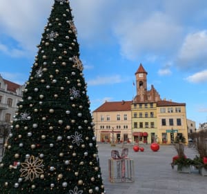 Brodnica spacerem wokół centrum - Marek - 5