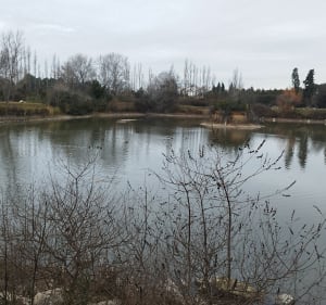 Balade sur le plateau de Gadagne - Vedène - 3