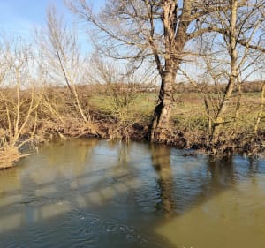 Coubert et sa campagne - Coubert - 4