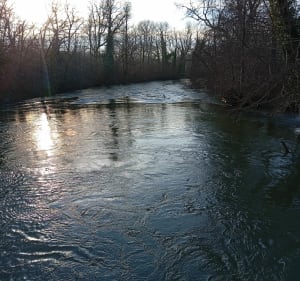 Boucle de Jarnac, la Charente et les trois châteaux - Jarnac - 4