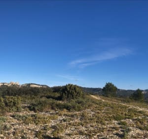 Les Alpilles : de Maussane aux Baux de Provence - Maussane-les-Alpilles - 3