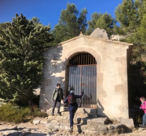 Les Alpilles : de Maussane aux Baux de Provence - Maussane-les-Alpilles - 4