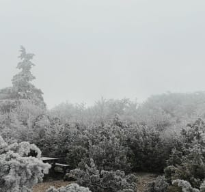 Belvédère de Revoulat depuis la croix de Chatelard - La Chapelle-en-Vercors - 4