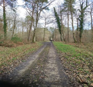 Randonnée à Monéteau - Monéteau - 4