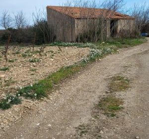 Balade gare de la Franqui - Leucate - 4