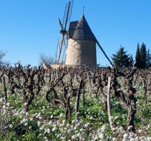 Villeneuve Minervois Le moulin Saint Mammes - Villeneuve-Minervois - 3