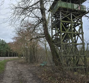 Czmoniec starorzecza - Czmoniec - 4