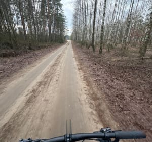 Krótka trasa przez las przy Woroszylach - Wasilków - 4