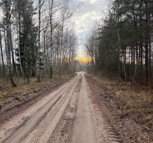 Krótka trasa przez las przy Woroszylach - Wasilków - 5