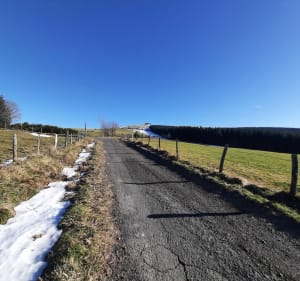 Laqueuille vue sur la Banne d'Ordanche - Laqueuille - 3