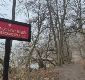 Trasa wokół jeziora Kociołek w WPN - Ludwikowo - 4