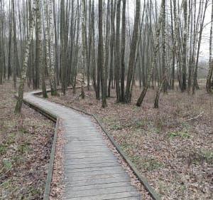 Ścieżka dydaktyczna „Czahary” w Poleskim Parku Narodowym - Zastawie - 4