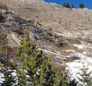 Au pied du pic de burre - Le Dévoluy - 3