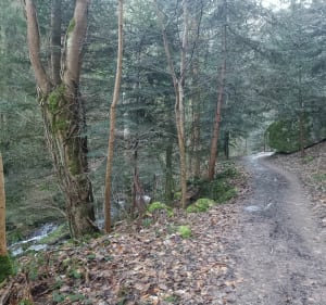 Forêt de Boisséjour + Rocher Gargantua au rythme des enfants - Ceyrat - 4