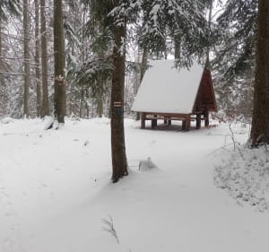 Mogiła najwyższy szczyt w okolicy Rymanowa Zdroju - Rymanów-Zdrój - 3