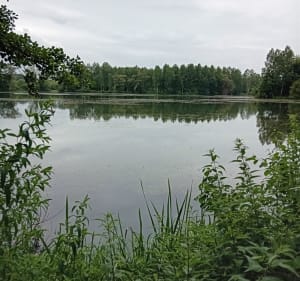 Boucle depuis Moy de l'Aisne  par le fort Militaire de Mayot - Moÿ-de-l'Aisne - 3