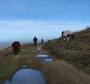 Rando au Mont Ursuya - Macaye - 4