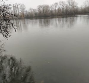 Balade au lac d'Ardres - Ardres - 3