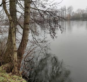 Balade au lac d'Ardres - Ardres - 4