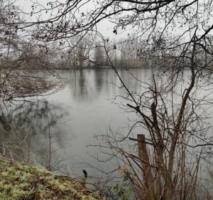 Balade au lac d'Ardres - Ardres - 5
