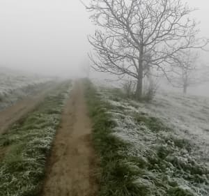 Boucle dans la campagne de Chevinay - Chevinay - 3