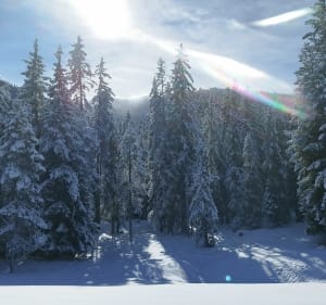 Boucle aux Glières - Glières-Val-de-Borne - 3