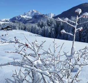 Boucle aux Glières - Glières-Val-de-Borne - 4