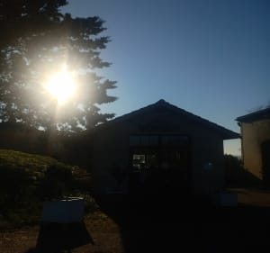 Verdelais - Verdelais - 3
