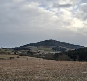 Boucle au départ de Saint Paulien - Saint-Paulien - 4