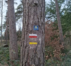 Boucle au départ de Saint Paulien - Saint-Paulien - 5
