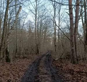 Traska pod rzekę San i most Kłyżów - Stalowa Wola - 4