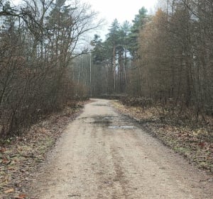 Piesza wędrówka wokół lasów przy zajeździe Magda w Bobrku - Bobrek - 3