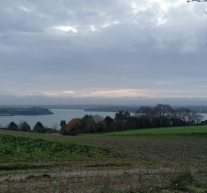 Balade à Saint-Jouan-des-Guerets - Nathalie - 3