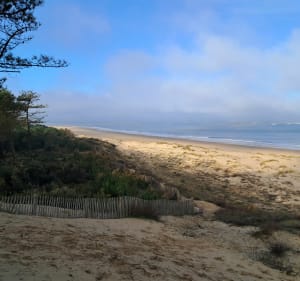 Balade derrière la Plage de l’Embélie - La Tremblade - 3