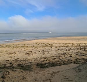 Balade derrière la Plage de l’Embélie - La Tremblade - 4