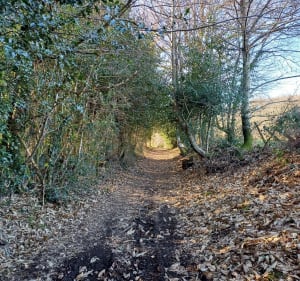 Cieux, sentier des hêtres - chantal - 3