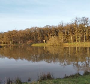 Etampes neuf forêts de Longuénéé - Erdre-en-Anjou - 5