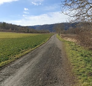Au fil de l'eau dans les chemins de Cébazat à Blanzat - Cébazat - 4