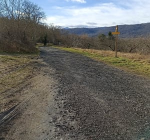 Au fil de l'eau dans les chemins de Cébazat à Blanzat - Cébazat - 5
