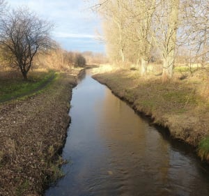 Wokół zalewu miejskiego w Ozorkowie. - Ozorków - 5